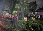 Gercep Petugas Samapta Polres Lubuklinggau Bersama Damkar Dan Masyarakat Bersihkan Pohon Tumbang Halangi Jalan