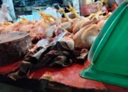Menjelang Nataru 2025 Harga Ayam Potong Stabil