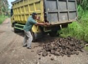 Peduli Sosial. Anggota DPRD Musi Rawas Rizal, SH Dari Nasdem Perbaiki Jalan Rusak di BTS Ulu Cecar