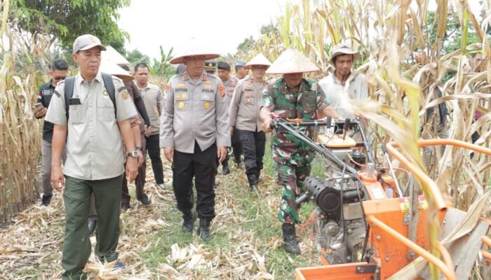 Kapolres Lubuklinggau Pastikan Program Swasembada Menyentuh Masyarakat Paling Bawah