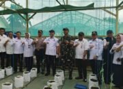 Dukung Ketahanan Pangan. Wali Kota Lubuklinggau Tanam Jagung Dilahan 50 Hektar