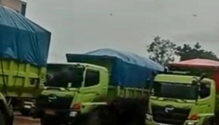 Terjaring Razia Tim Terpadu. 40 Truk Batu Bara Diamankan