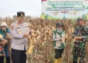 Polres Musi Rawas Bersama Stakeholder Panen Raya Jagung Kuartal IV 2025