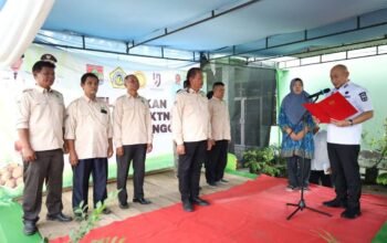 Wali Kota Lubujkinggau, H Rahmat Hidayat, Hilirisai Pertanian Akan Terus Didorong