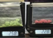 Bawa Puluhan Butir Pil Ekstasi Dua Pemuda Asal Musi Rawas Ditangkap Melalui Patroli Hunting