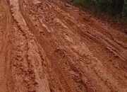 Program Jalan Mulus Sampai Ke Desa Dipertanyakan. Akses Jalan Desa Harapan Makmur Sangat Memprihatinkan.