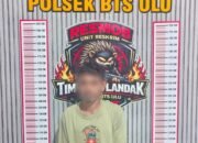 Sedang Dirumah DPO Kasus Curat Digerebek Tim Anak Landak Polsek BTS Ulu