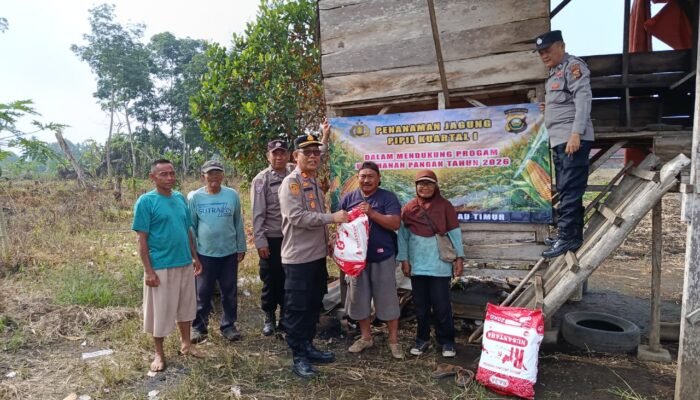 Dukung Ketahanan Pangan Nasional. Polres Lubuklinggau Tanam Jagung Serentak