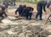 Melalui Program Belida, Personel Batalyon B Pelopor Satbrimob Polda Sumsel Laksanakan Perbaikan Jalan Rusak