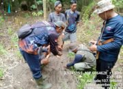 Warga Selangit Musi Rawas Tewas Diterkam Harimau. Ini Komentar BKSDA Sumatera Selatan