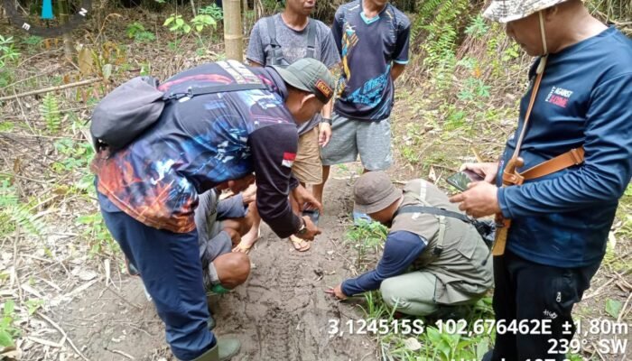 Warga Selangit Musi Rawas Tewas Diterkam Harimau. Ini Komentar BKSDA Sumatera Selatan