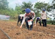 Dukung Ketahanan Pangan 2026, Batalyon B Pelopor Optimalkan Lahan Produktif melalui Penanaman Jagung