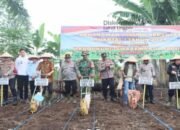 Dukung Swasembada Pangan 2026, Pemkot Lubuklinggau Bersama Forkopimda Tanam Raya Kuartal I