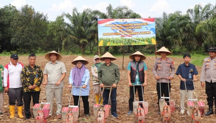 Polres Musi Rawas Bersama Stakeholder Tanam Jagung Serentak Kuartal I 2026 di Desa Suro.