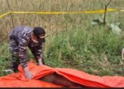 Mayat Perempuan Tanpa Identitas Ditemukan di Pinggir Sawah Desa Merah Mata Banyuasin