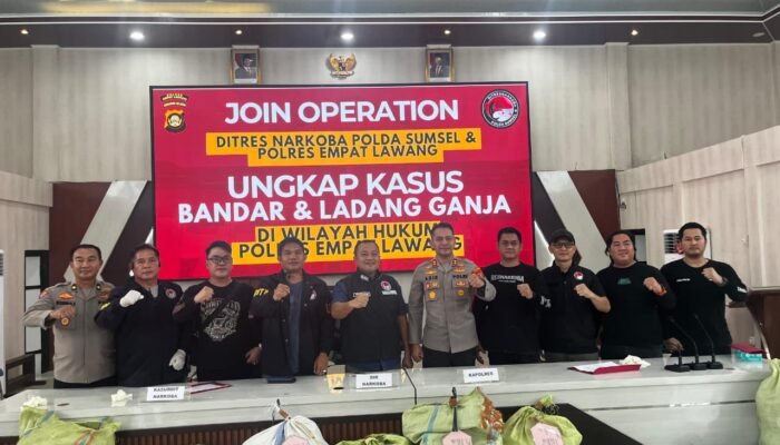 Operasi Gabungan Polda Sumsel Bongkar Ladang Ganja 20 Hektar di Empat Lawang, 220 Kg Ganja dan Bandar Utama Ditangkap