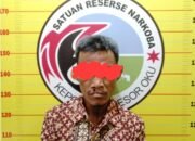 Polda Sumsel Bekuk Bandar Sabu 13,86 Gram di Jalan Lintas OKU, 17 Paket Disita