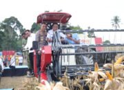 Akselerasi Ketahanan Pangan Nasional, Polda Sumsel Gelar Panen Raya Jagung Serentak Kuartal II