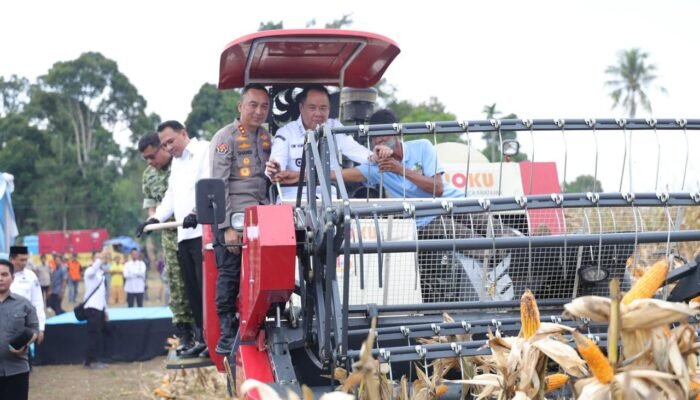 Akselerasi Ketahanan Pangan Nasional, Polda Sumsel Gelar Panen Raya Jagung Serentak Kuartal II