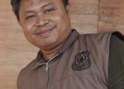 Serangan Beruang di Musi Rawas Jadi Sorotan, BKSDA Sumsel. Ini Penjelasannya