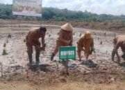 Hadapi El-Nino. DInas Pertanian Musi Rawas Utara Canangkan Gerakan Tanam Serentak