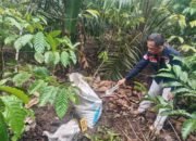 Satu Dari Dua Pelaku Pembunuhan Di Kebun Kopi di Oku Selatan Diamankan Polres Oku Selatan