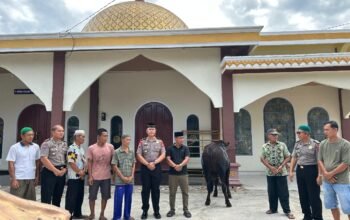 Polres Musi Rawas Utara Salurkan Bantuan Sapi Kurban dari Kapolda Sumsel untuk Warga Desa Karang Anyar