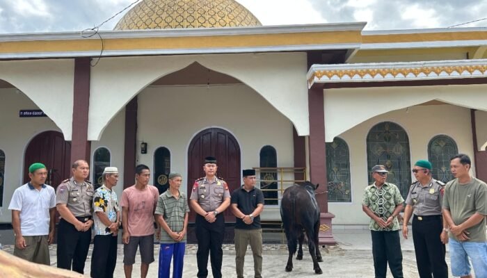 Polres Musi Rawas Utara Salurkan Bantuan Sapi Kurban dari Kapolda Sumsel untuk Warga Desa Karang Anyar