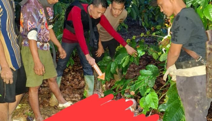 Dendam Lama Berujung Maut, Kapolres OKU Tegaskan Proses Hukum Pelaku Pembunuhan di Ulu Ogan