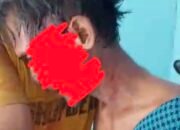 Sedang Kerja Di kebun Warga Musi Rawas Diduga Di serang Beruang