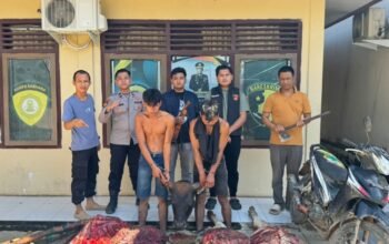 Sedang Menyembelih Hewan Ternak Hasil Pencurian, Komplotan Pencuri Ditangkap Polsek Muara Lakitan