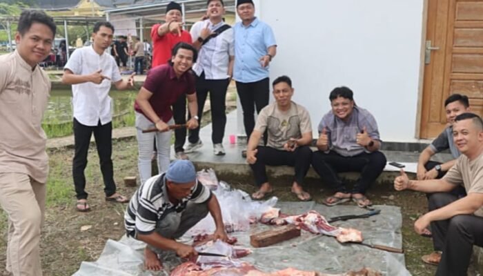 Mempererat Kebersamaan Idul Adha 1447 H, Polres Musi Rawas Utara Qurban 12 Ekor Sapi serta 1 Ekor Kambing
