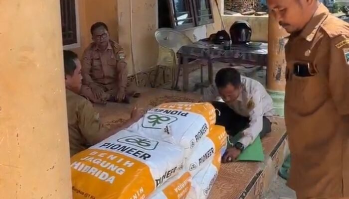 Bhabinkamtibmas Polsek Nibung Dampingi Penyaluran Bibit Jagung untuk 3 Kelompok Tani