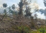 Buka Lahan Dengan Cara Dibakar, Warga Lubuklinggau Utara Diamankan