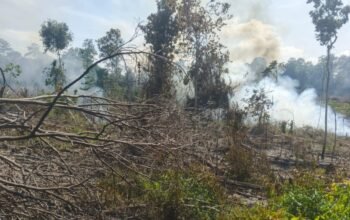 Buka Lahan Dengan Cara Dibakar, Warga Lubuklinggau Utara Diamankan