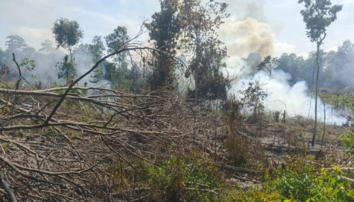 Buka Lahan Dengan Cara Dibakar, Warga Lubuklinggau Utara Diamankan
