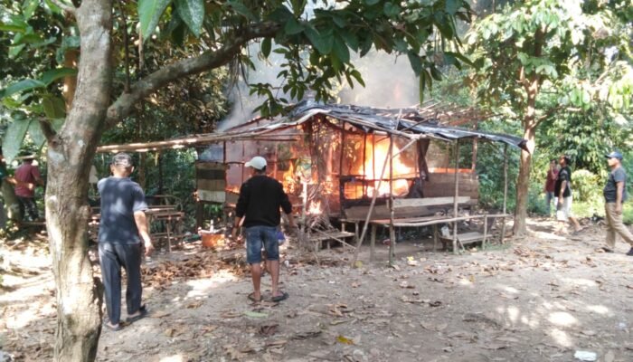 Diduga Dijadikan Tempat Sarang Narkoba. Dua Pondok Di Maur Lama Musi Rawas Utara Dibakar Warga