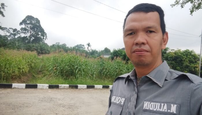 Cek Tanaman Jagung Program Ketahanan Pangan Polres Musi Rawas Utara