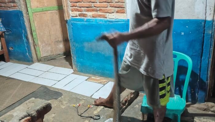 Heboh. Warga Tangkap Ular Sanca Kembang Sedang Makan Ayam Ditumpukan Kayu Di pemukiman Masyarakat