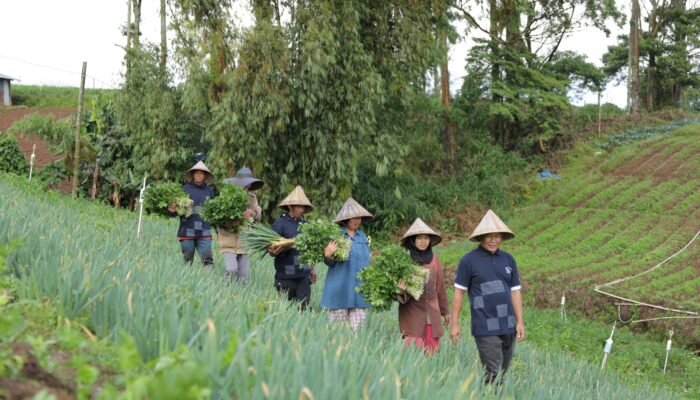 PT Astra International Tbk: Dari Rumah Koran di Desa Sejahtera Astra Kanreapia Menjadi Sentra Sayuran di Sulawesi Selatan