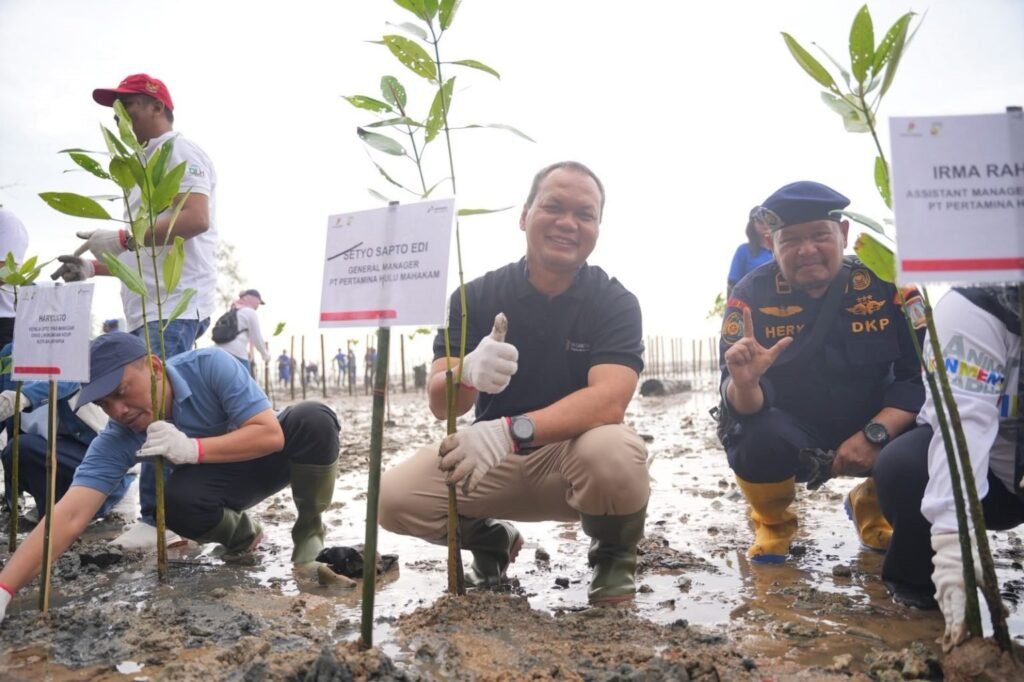 Lindungi Ekosistem Kawasan Pesisir, Grup PT Pertamina Hulu Indonesia Tanam Ribuan Bibit Mangrove