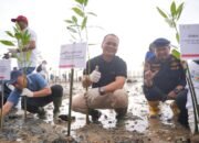 Lindungi Ekosistem Kawasan Pesisir, Grup PT Pertamina Hulu Indonesia Tanam Ribuan Bibit Mangrove
