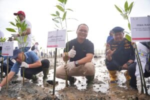 Lindungi Ekosistem Kawasan Pesisir, Grup PT Pertamina Hulu Indonesia Tanam Ribuan Bibit Mangrove