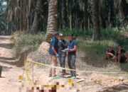 Polres Musi Banyuasin Usut Tuntas Penemuan Jenazah Pria di Perkebunan Sawit PT Hindoli