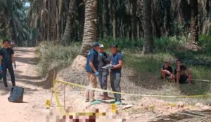 Polres Musi Banyuasin Usut Tuntas Penemuan Jenazah Pria di Perkebunan Sawit PT Hindoli