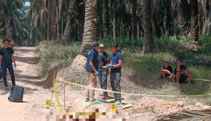 Polres Musi Banyuasin Usut Tuntas Penemuan Jenazah Pria di Perkebunan Sawit PT Hindoli