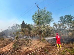 Bersama Perangi Asap, Pertamina EP Ramba Field Bantu Warga Padamkan Karhutla di Sekitar Wilayah Operasi