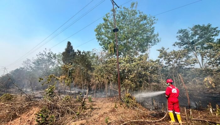 Bersama Perangi Asap, Pertamina EP Ramba Field Bantu Warga Padamkan Karhutla di Sekitar Wilayah Operasi