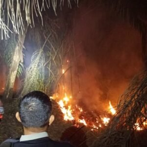 Timgab Padamkan Karhutla di Palem Raya