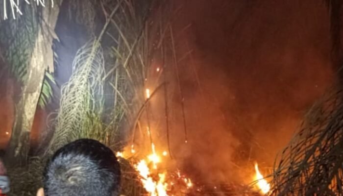 Timgab Padamkan Karhutla di Palem Raya